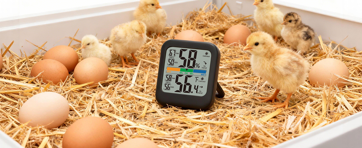 digital thermometer for incubator