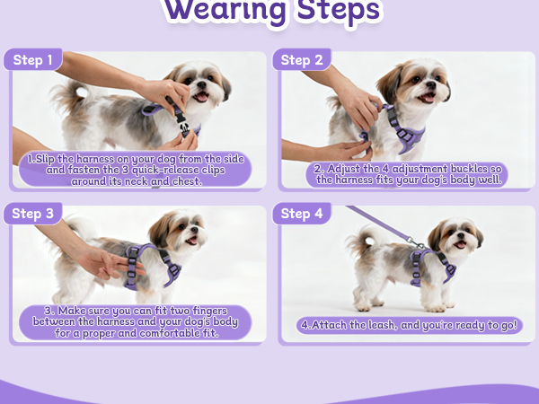 adjustable small dog harness