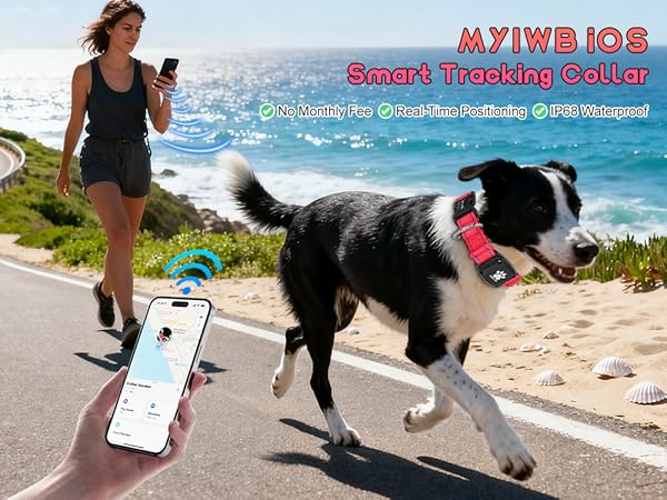 MYIWB iOS Smart Dog Tracking Collar, Real-Time GPS, No Monthly Fee, IP68 Waterproof