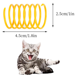 cat springs