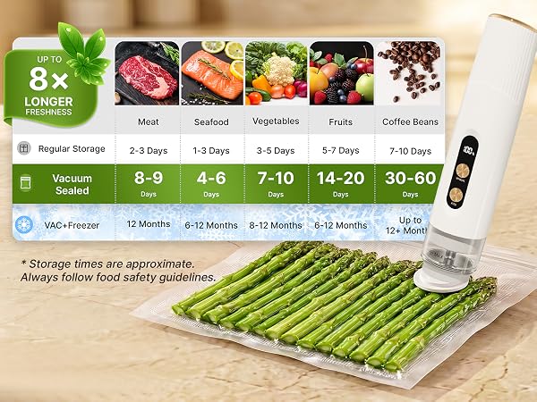 handheld vacuum sealer for food