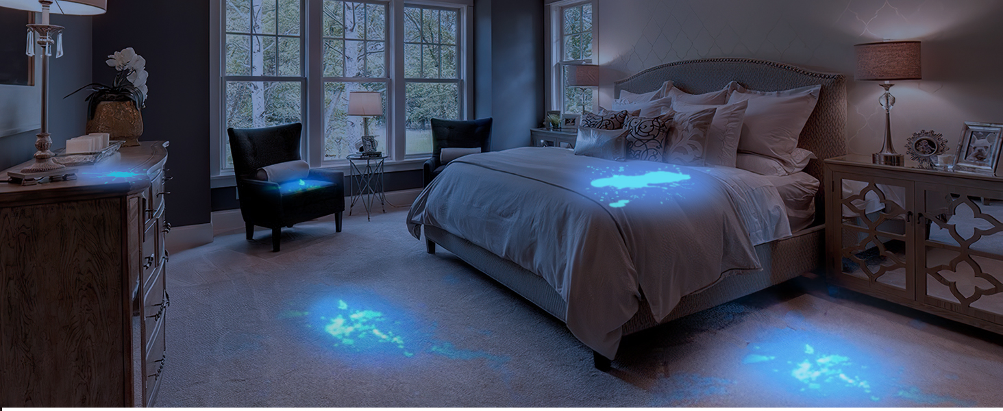 blacklight flashlight