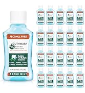 Mini Mouthwash Travel Size Bulk Pack of 10,Portable Mint Mini Mouthwash Bulk 35ml/1.2 Fl Oz Indiv...