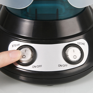 steamer for face