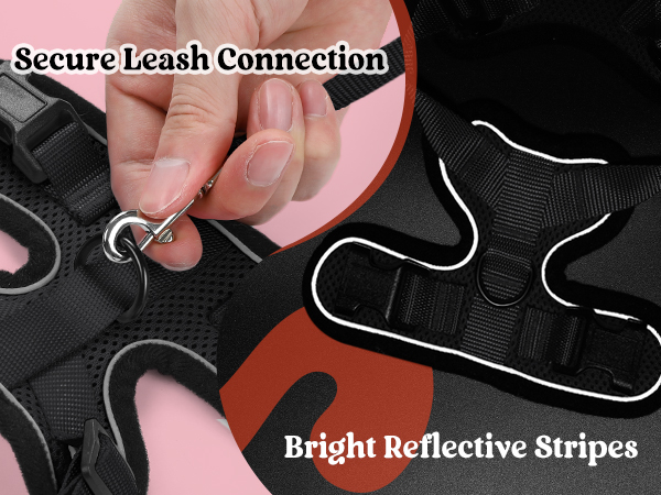 rabbitgoo Cat Harness and Leash for Walking