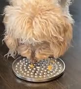small lick mat for puppy