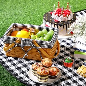 Extra Large Picnic Blanket
