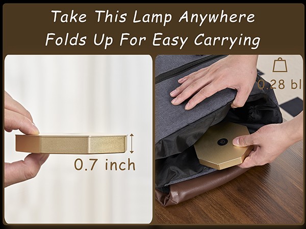 portable lamp