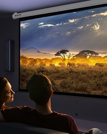 Projector Screen