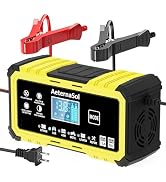15-Amp 12V/24V Smart Battery Charger Trickle Charger for LiFePO4,Lead Acid Batteries Smart Batter...
