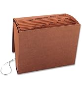 1InTheOffice Accordion File Organizer, Expandable File Folder Organizer, 12 Pocket Accordion Fold...