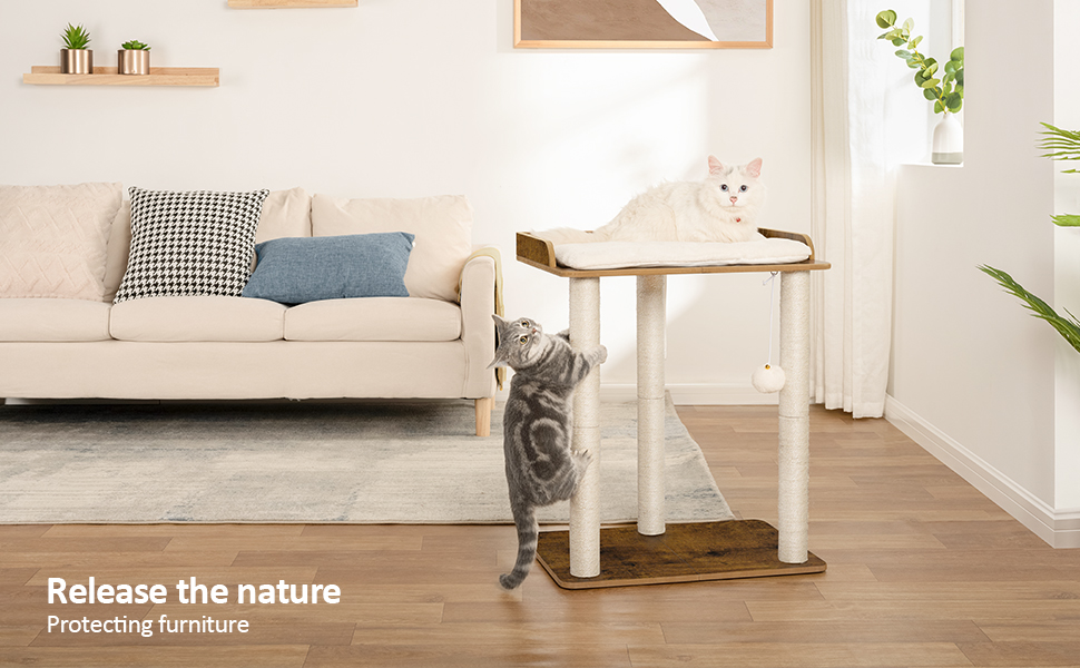 cat tree