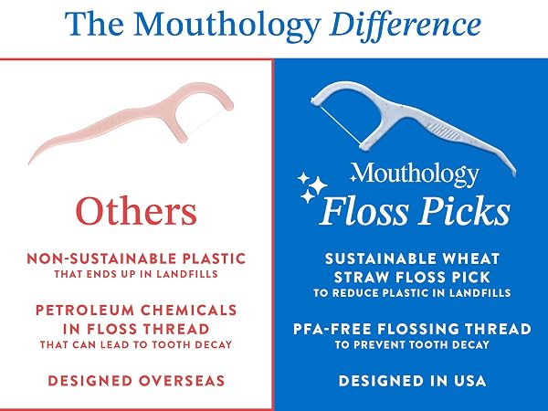 floss picks, dental floss picks reusable floss pick, tooth flossers, floss sticks, floss, picks