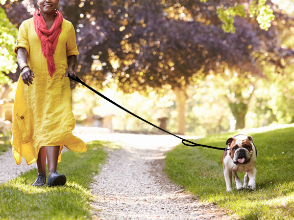 dog leash