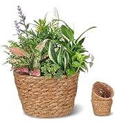 Alipis Wicker Planter: 5.1" Seagrass Plant Basket Indoor - Hand-Woven Planter Basket with Liner f...