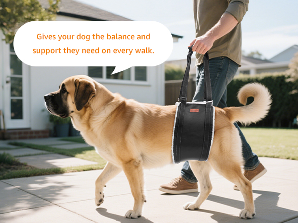 dog stair helper