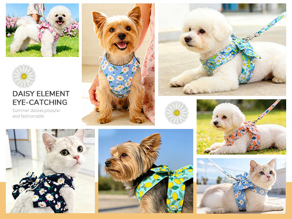 cute dog harness