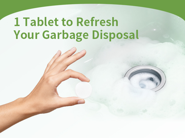 Garbage Disposal Cleaner and Deodorizer