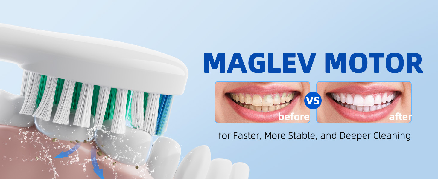 SEIGA Sonic Electric Toothbrush for Adults_07