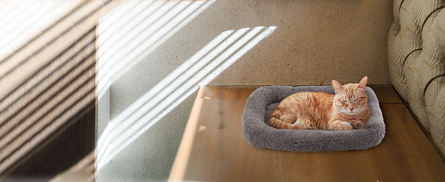 cat bed
