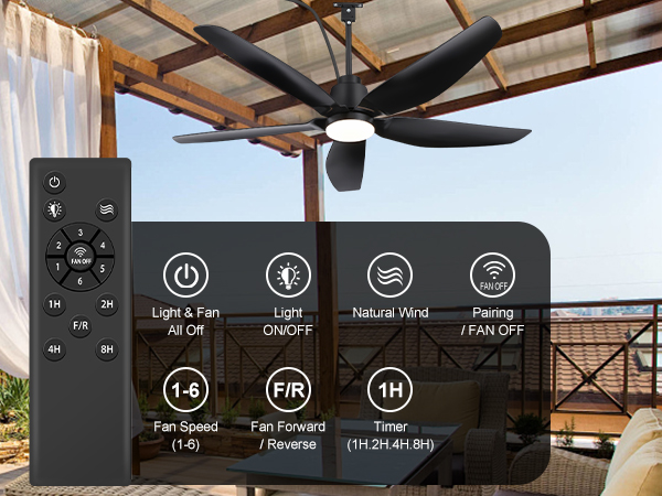 ceiling fan