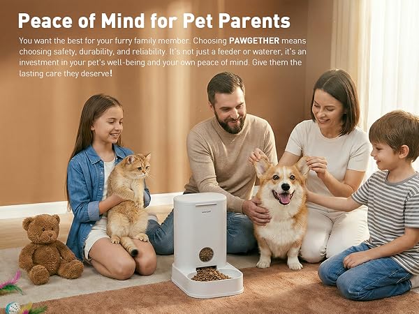 cat auto feeder
