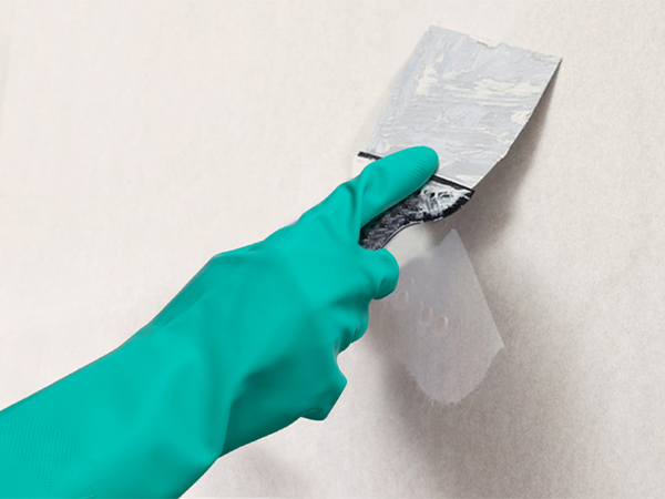 NG-paint stripping project