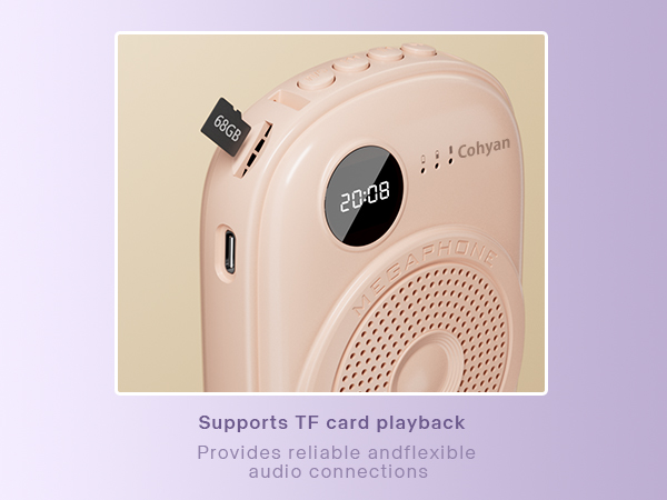 Voice Amplifier