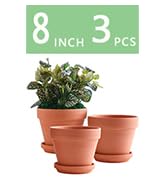 YISHANG 8 Inch Clay Pot for Plant with Saucer - 3 Pack Large Terra Cotta Plant Pot with Drainage ...