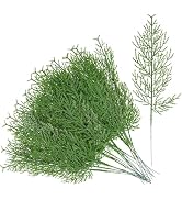 peony man 60 Pcs Artificial Pine Branches Christmas Greenery Stems 13.5 Inch Faux Cedar Pine Spri...