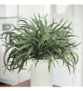 HIAGROW Eucalyptus Stems, 20PCS Dried Eucalyptus Stems 17inch Real Fresh Eucalyptus Branches for ...