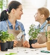 self watering pots for indoor plants