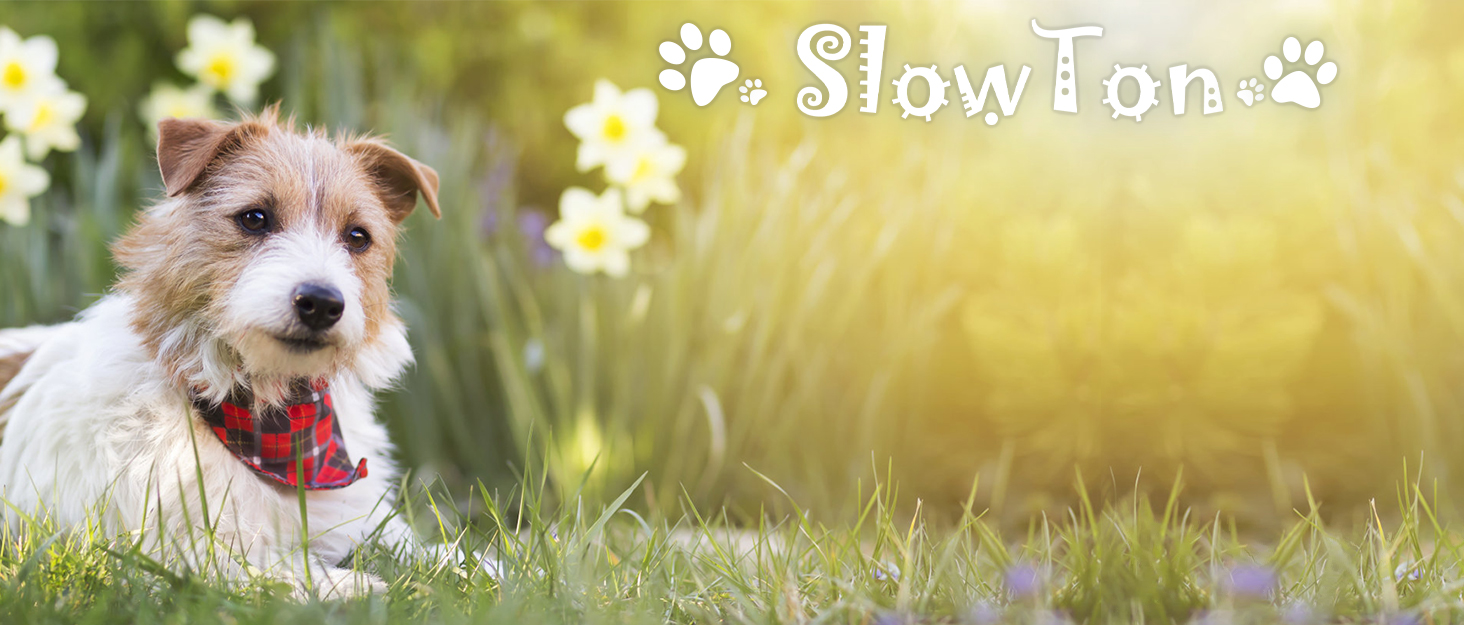 slowton brand story
