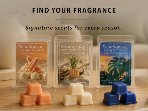 Text: Find your fragrance, signature scents for every season featuring 3 summer wax melts.