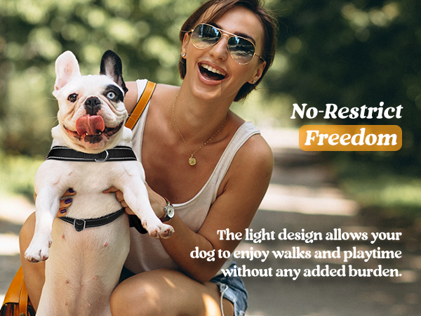 dog harness