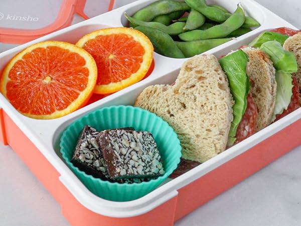 bento lunch container for snacks meal lunches
