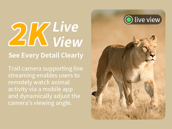 trail camera