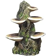 Penn-Plax Deco-Replicas Tree Trunk with Shelf Mushrooms Aquarium Decoration – Safe for Freshwater...