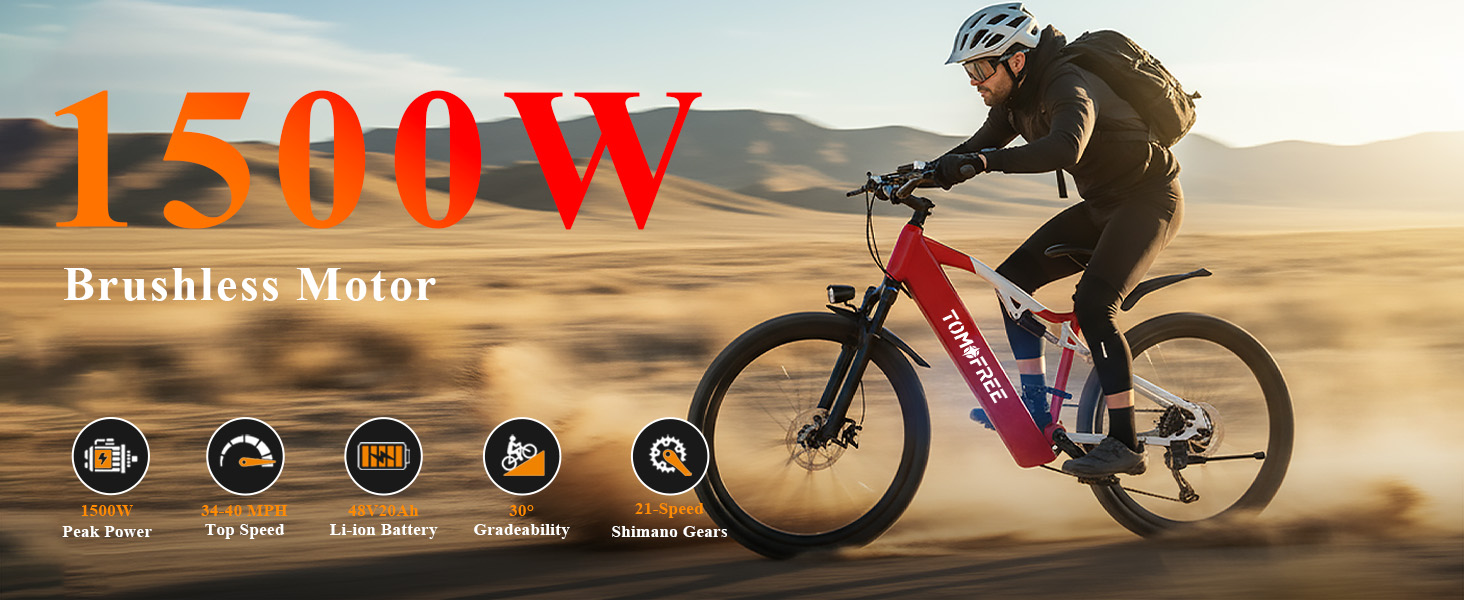 electric mountain bike