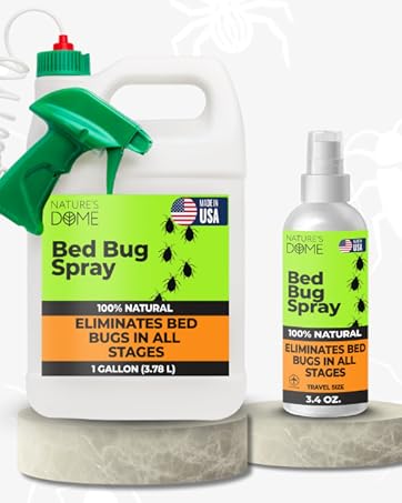 bedbug