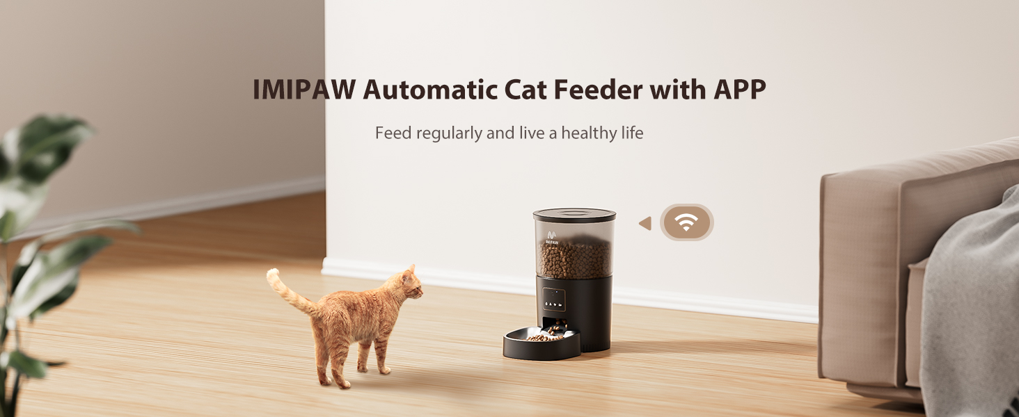 automatic cat food dispenser