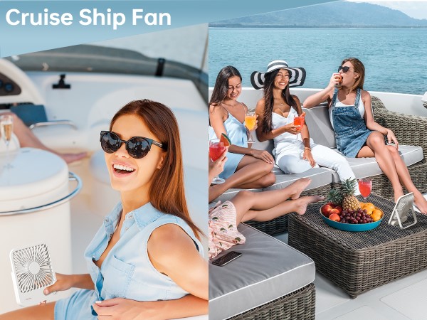 cruise fan
