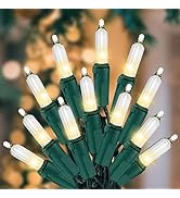 Christmas Lights for Tree 25Ft 100 Count Mini Lights Green Wire Christmas Tree Lights Waterproof ...