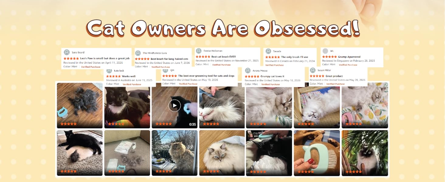 cat owners are obsessed!