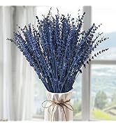 Dried Blue Lavender Flowers Bundle-Dried Preserved Lavender Bouquet 180+ Stems 15''-17" for Home ...
