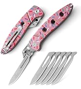 VR VIRENKNIFE Pink Folding Scalpel Knife,Pocket Knife with 6pcs Replaceable Blades #60, EDC Utili...