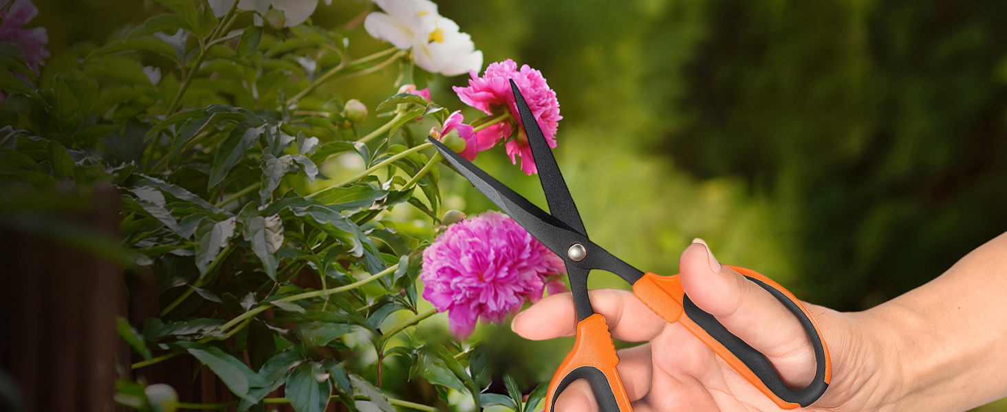 garden scissors
