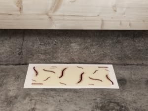 heavy duty centipede glue board