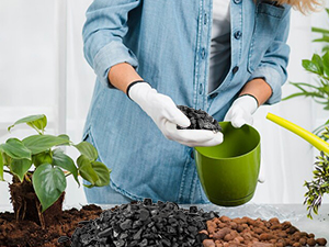 Horticultural Charcoal for Plants