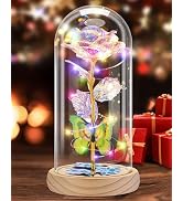 Otlonpe Forever Artificial Glass Rose Flower Lamp, Women Gifts for Birthday Christmas Valentines ...